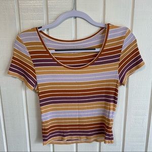 Striped Short Sleeve American Eagle Cropped Tee